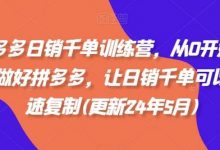 拼多多日销千单训练营，从0开始带你做好拼多多，让日销千单可以快速复制(更新24年7月)-蜗牛学社
