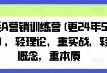 老A营销训练营(更24年6月)，轻理论，重实战，轻概念，重本质-蜗牛学社
