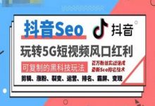抖音SEO引流培训课程-抓住抖音风口,实现搜索排名,获取精准流量,快速成交变现-蜗牛学社