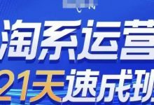 淘系运营21天速成班(更新24年7月)，0基础轻松搞定淘系运营，不做假把式-蜗牛学社