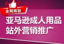 全网稀缺!亚马逊成人用品站外营销推广,教你引爆站外流量,开启爆单模式-蜗牛学社