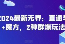 2024最新无界:直通车+魔方,2种群爆玩法-蜗牛学社
