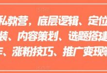 小红书私教营,底层逻辑、定位赛道、账号包装、内容策划、选题搭建、爆款创作、涨粉技巧、推广变现等等-蜗牛学社