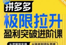 拼多多极限拉升盈利突破进阶课,从算法到玩法,从玩法到团队搭建,体系化系统性帮助商家实现利润提升-蜗牛学社