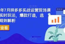 2024年7月拼多多实战运营现场课程,实时玩法,爆款打造,选品、规则解析-蜗牛学社