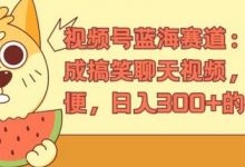 视频号蓝海赛道:AI 生成搞笑聊天视频,操作简便,日入300+的教程-蜗牛学社