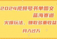 2024视频号书单图文蓝海赛道,火爆玩法,赚取多重收益,小白轻松上手,月入上万-蜗牛学社
