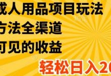 最新成人用品项目玩法,方式方法全渠道,轻松日入2K+-蜗牛学社