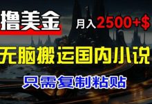 最新撸美金项目,搬运国内小说爽文,只需复制粘贴,稿费月入2500+美金,新手也能快速上手-蜗牛学社