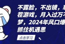不露脸,不出镜,玩转找茬游戏,月入过万不是梦,2024年风口爆发,抓住机遇-蜗牛学社