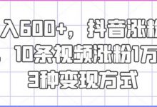 日入600+,抖音涨粉技术,10条视频涨粉1万+,3种变现方式-蜗牛学社