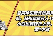 靠两种引流方法卖莆田高端鞋，轻松实现月入1W+，小白也能轻松上手，每天只要1小时-蜗牛学社
