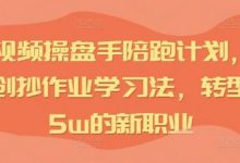 IP短视频操盘手陪跑计划,全平台独创抄作业学习法,转型月入5w的新职业-蜗牛学社