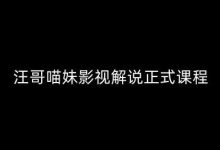 汪哥影视解说正式课程:剪映/PR教学/视解说剪辑5大黄金法则/全流程剪辑7把利器等等-蜗牛学社