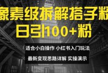 像素级拆解搭子粉,日引100+,小白看完可上手,最新变现思路详解-蜗牛学社