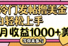 冷门发帖撸美金项目,月收益1000+美金,简单无脑,干就完了-蜗牛学社