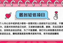冷门小众赚钱项目,匿名短信,玩转信息差,月入五位数-蜗牛学社