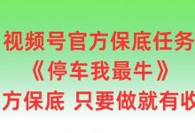 视频号官方保底任务,停车我最牛,官方保底只要做就有收益-蜗牛学社