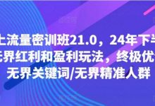 线上流量密训班21.0,24年下半年-无界红利和盈利玩法,终极优化/无界关键词/无界精准人群-蜗牛学社
