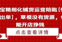 淘宝精细化铺货运营陪跑【快速出单】,草根没有货源,也能开店挣钱-蜗牛学社