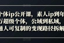新个体ip公开课,素人ip到年入百万超级个体,公域到私域,普通人可复制的变现路径拆解-蜗牛学社