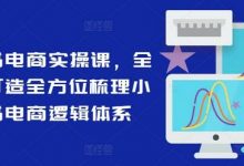 小红书电商实操课,全体系打造全方位梳理小红书电商逻辑体系-蜗牛学社