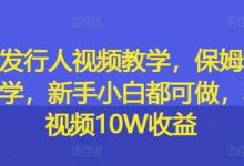 游戏发行人视频教学,保姆级实操教学,新手小白都可做,单条视频10W收益-蜗牛学社