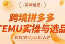跨境拼多多TEMU实操与选品,多多temu跨境选品运营实操-蜗牛学社