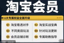 淘宝会员【淘宝所有课程，全面分析对手】，初级到高手全系实战宝典-蜗牛学社