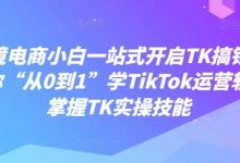 跨境电商小白一站式开启TK搞钱，教你“从0到1”学TikTok运营轻松掌握TK实操技能-蜗牛学社