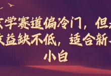 玄学赛道偏冷门，但是收益缺不低，适合新手小白-蜗牛学社