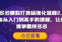 拼多多爆款打造标准化流程2.0,一套从入门到高手的课程,让你快速掌握拼多多-蜗牛学社