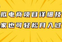 虚拟电商项目详细拆解，兼职全职都可做，每天单账号300+轻轻松松-蜗牛学社