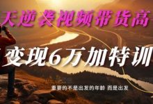 30天逆袭视频带货高手,单月变现6万加特训营-麦子甜-蜗牛学社