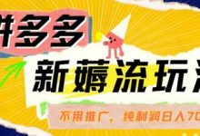 拼多多最新薅流玩法,无需开车推广,纯靠自然流吃饭-单纯赚50+利润,日入700+-蜗牛学社