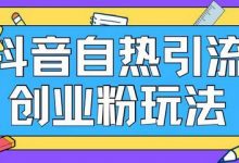 抖音引流创业粉自热玩法日引200+精准粉-蜗牛学社