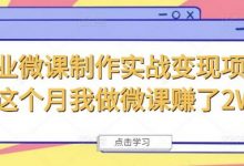 商业微课制作实战变现项目,这个月我做微课赚了2W+-蜗牛学社