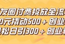 朋友圈高效付费投放全流程,100元撬动500+创业粉,日引流300加精准创业粉-蜗牛学社