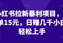 小红书拉新暴利项目,一单15元,日赚几千小白轻松上手-蜗牛学社