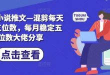 2024小说推文—混剪每天稳定三位数,每月稳定五位数大佬分享-蜗牛学社
