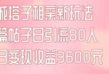 同城搭子相亲新玩法一篇帖子引流80人当日变现3600元(项目教程+实操教程)-蜗牛学社