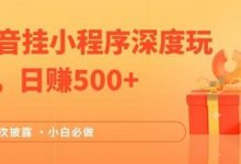 2024全网首次披露,抖音挂小程序深度玩法,日赚500+,简单、稳定,带渠道收入,小白必做-蜗牛学社