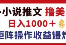 最新海外小说推文撸美金，日入1k+ 蓝海市场，矩阵放大收益爆炸-蜗牛学社