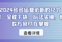 2024多多运营必听的12节课，全程干货，玩法实操，爆款方案尽在掌握-蜗牛学社