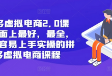 拼多多虚拟电商2.0项目,市面上最好,最全,最让人容易上手实操的拼多多虚拟电商课程-蜗牛学社