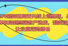 2024裂变破局两天线上训练营,从品牌布局到终端客户进店,裂变流量让企业逆势增长-蜗牛学社