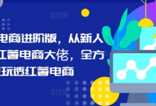 小红书电商进阶版,从新人进阶小红薯电商大佬,全方位玩透红薯电商-蜗牛学社