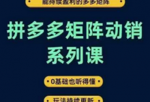 拼多多矩阵动销系列课,能持续盈利的多多矩阵,0基础也听得懂,玩法持续更新-蜗牛学社