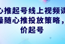 随心推起号线上视频课,实操随心推投放策略,正价起号-蜗牛学社