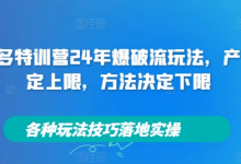 拼多多特训营24年爆破流玩法,产品决定上限,方法决定下限,各种玩法技巧落地实操-蜗牛学社